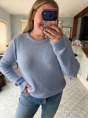 Light Blue and Pink Crewneck Sweater Size Large